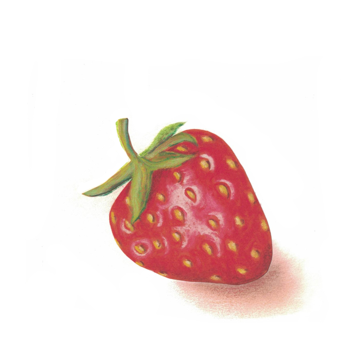 fruit fraise 3.jpg