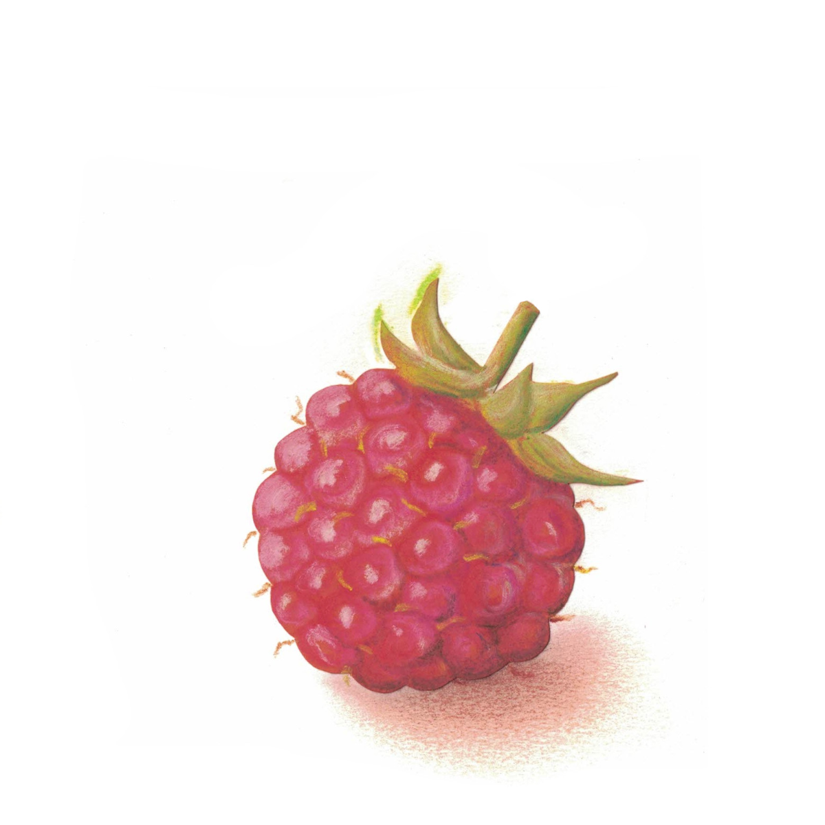 fruit framboise 3.jpg