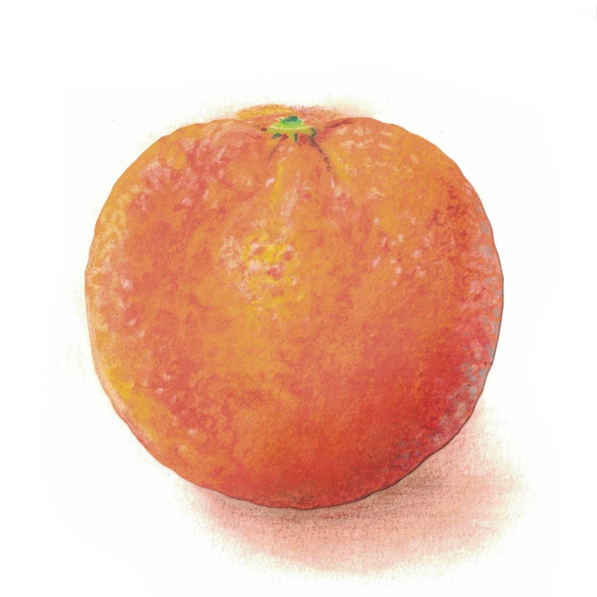 fruit orange 3.jpg
