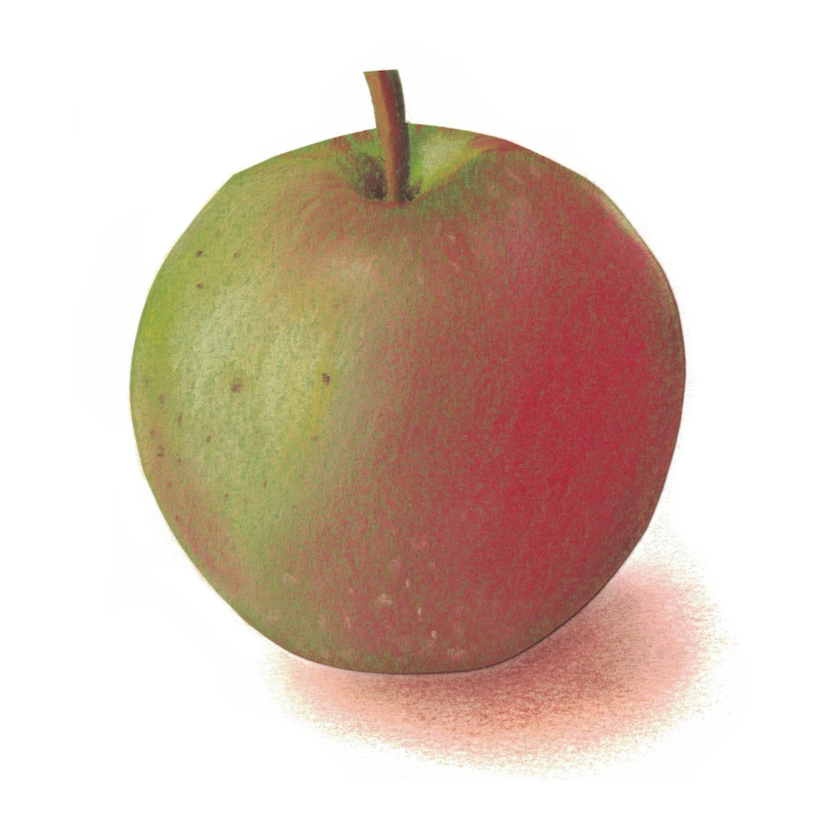 fruit pomme 3.jpg